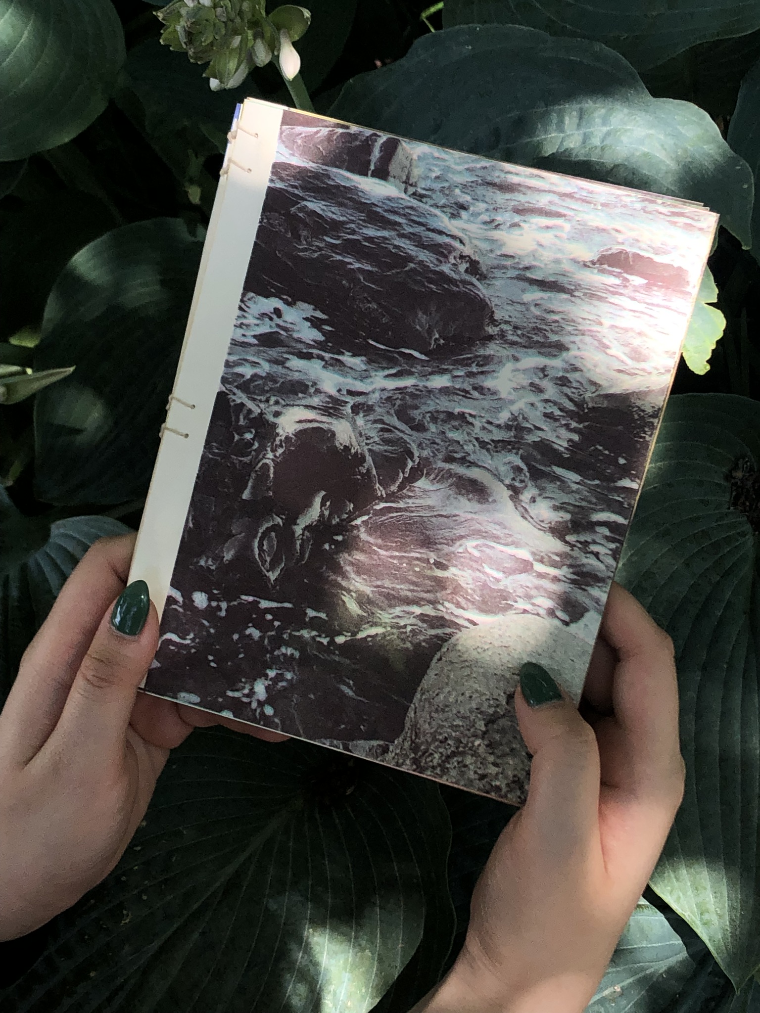 far & near cover
