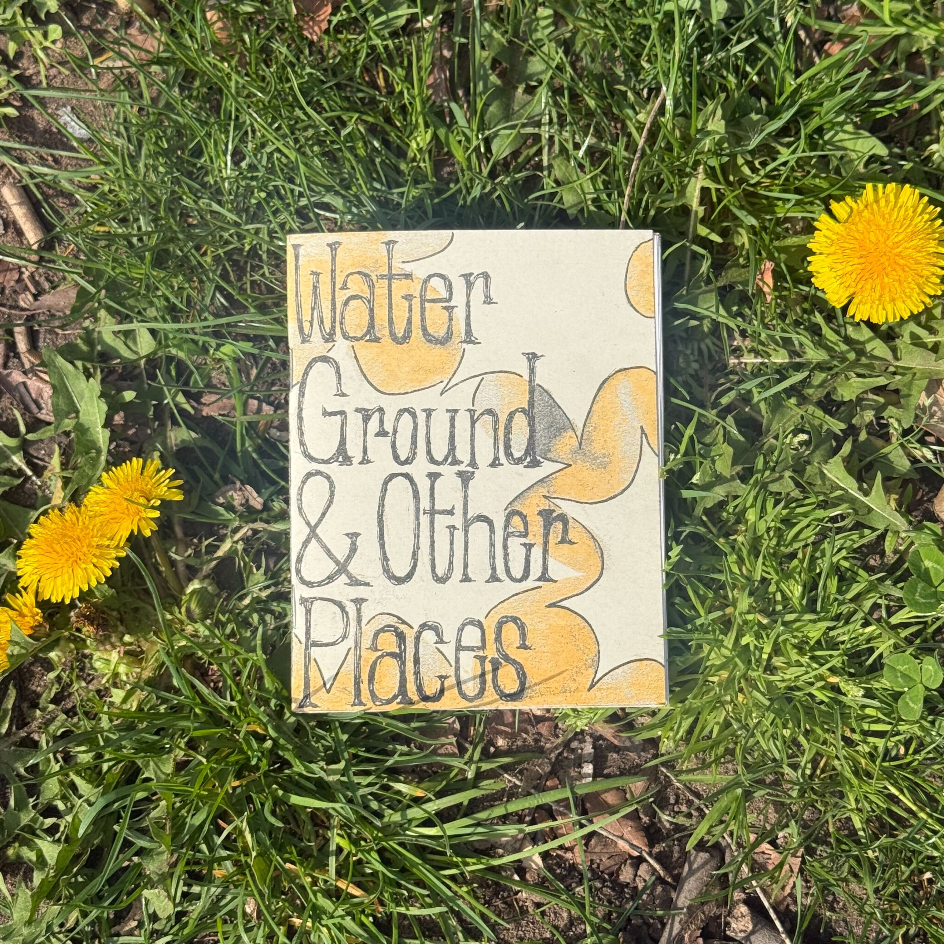 water, ground, and other places cover